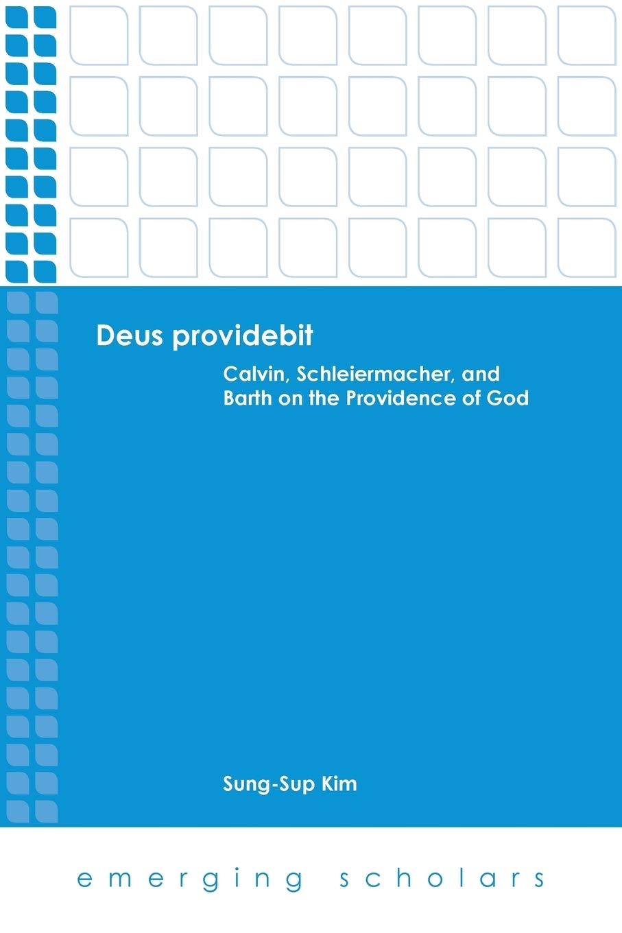 Deus providebit: Calvin, Schleiermacher, and Barth on the Providence of God (Emerging Scholars),Used