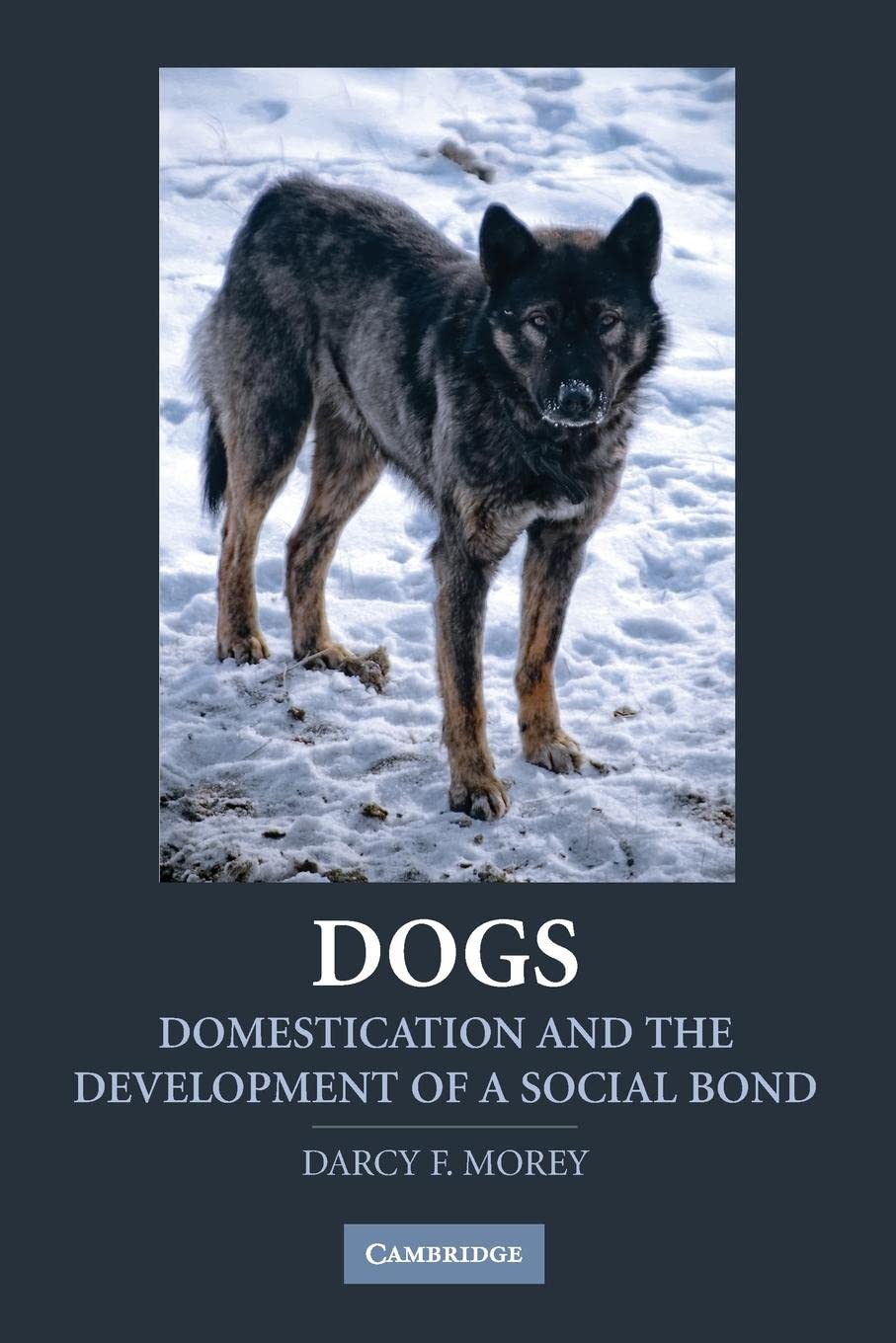 Dogs: Domestication and the Development of a Social Bond,Used