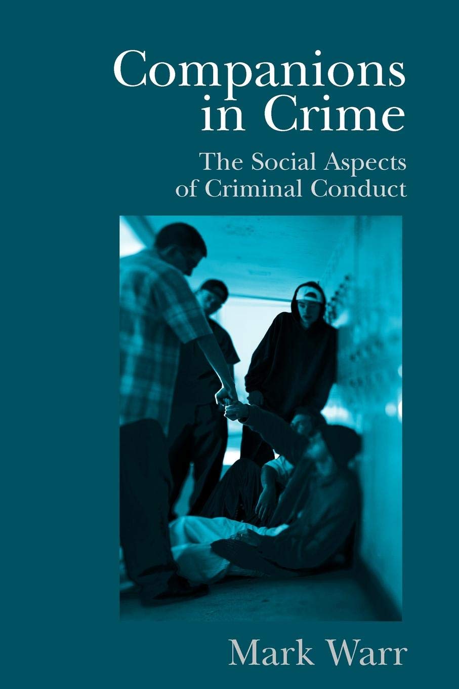 Companions in Crime: The Social Aspects of Criminal Conduct (Cambridge Studies in Criminology),New