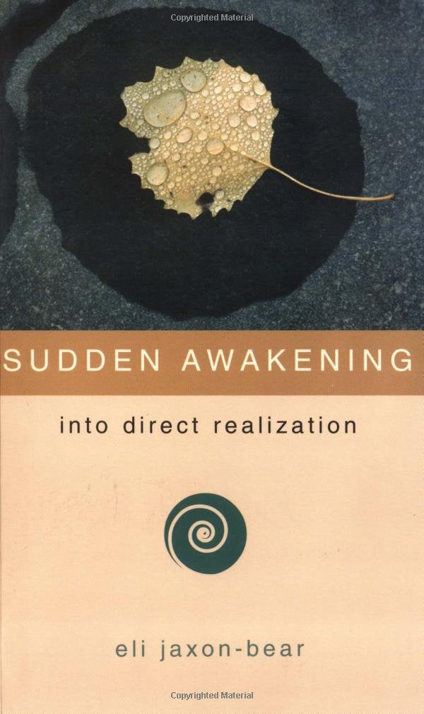 Sudden Awakening: Into Direct Realization,Used