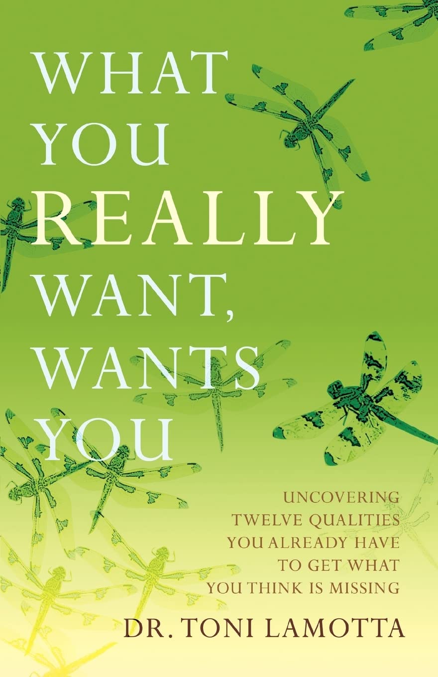 What You REALLY Want, Wants You: Uncovering Twelve Qualities You Already Have to Get What You Think Is Missing,Used