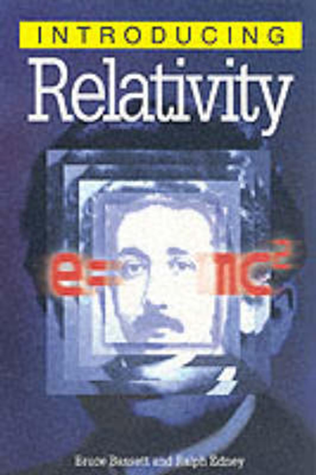 Introducing Relativity (Graphic Guides),Used