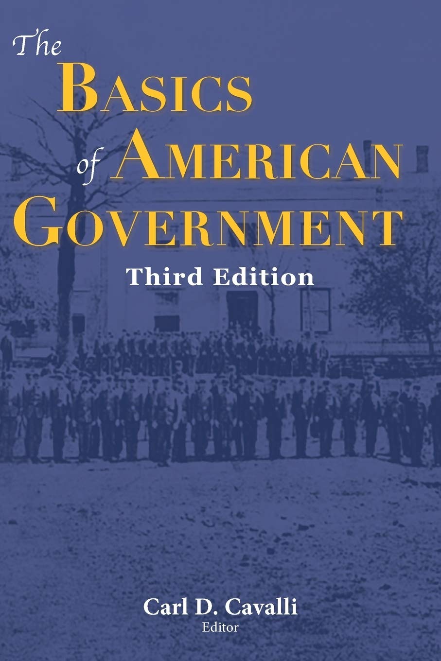 The Basics of American Government,New