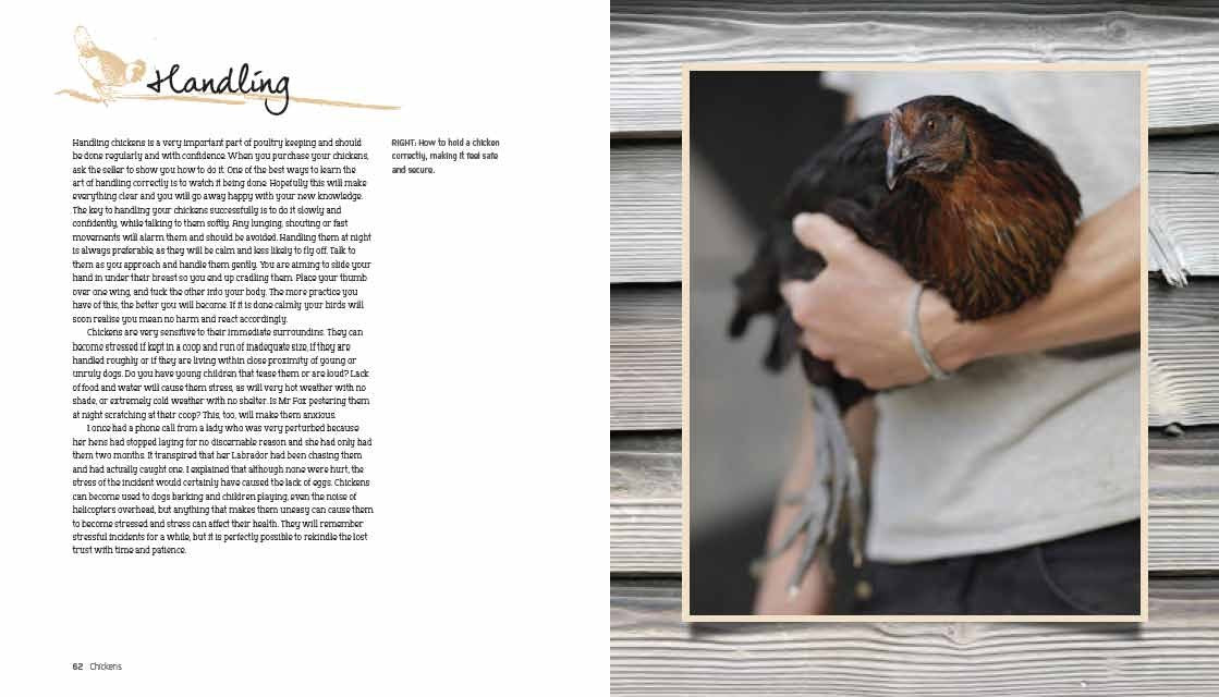 Chickens: The Essential Guide to Choosing and Keeping Happy, Healthy Hens,Used