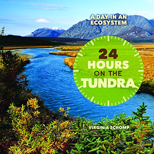 24 Hours on the Tundra (A Day in an Ecosystem),Used