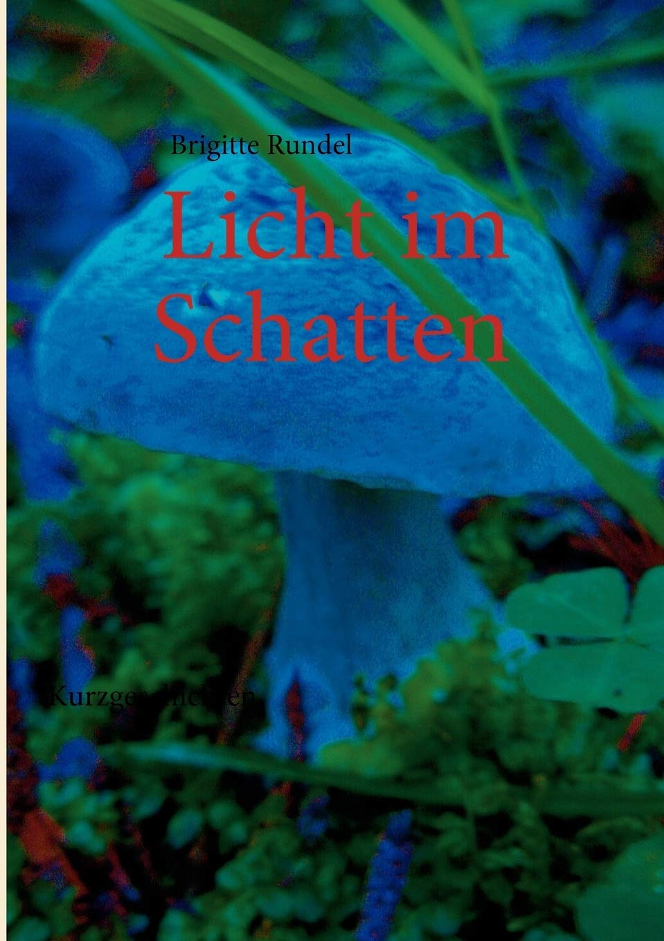 Licht im Schatten: Kurzgeschichten (German Edition),Used