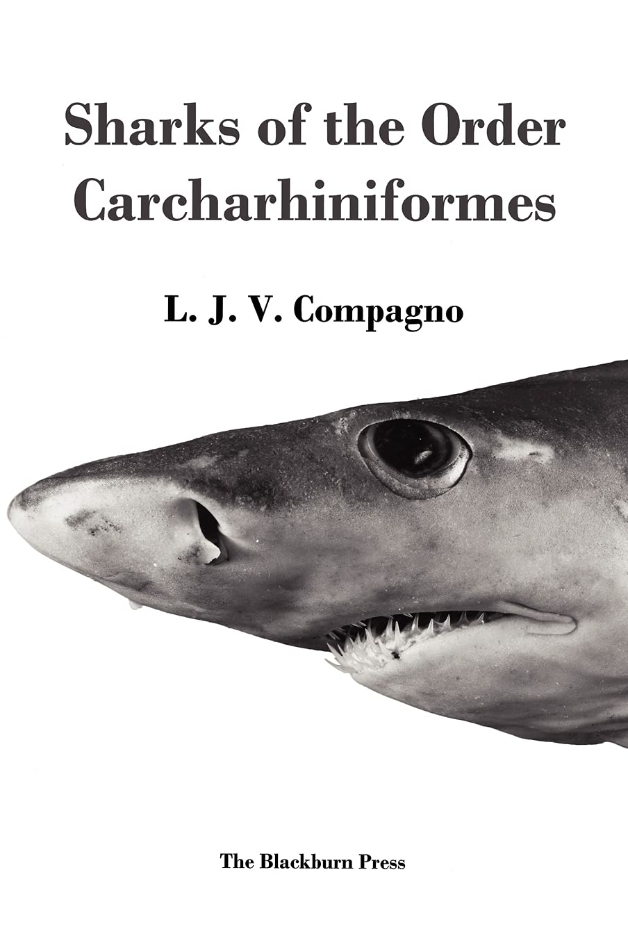 Sharks of the Order Carcharhiniformes,New