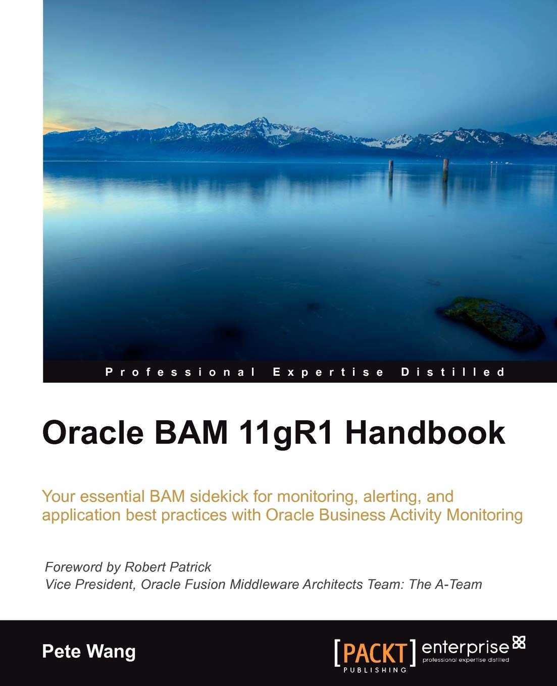 Oracle Bam 11Gr1 Handbook,Used