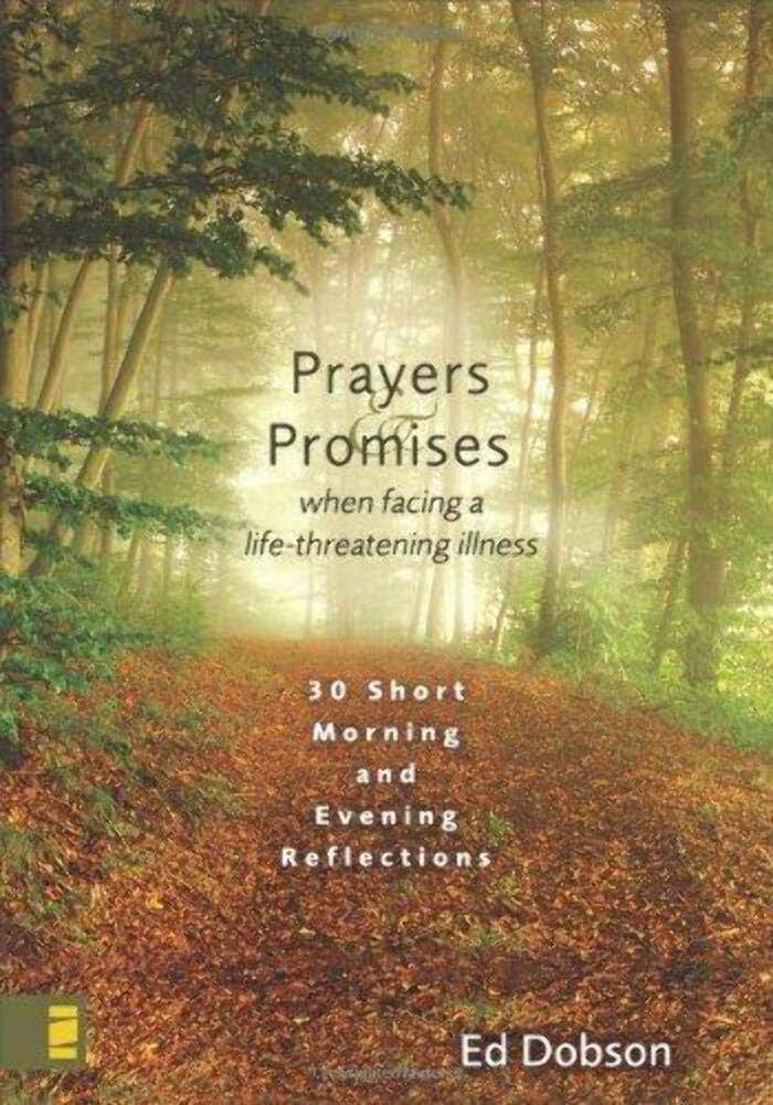 Prayers and Promises When Facing a LifeThreatening Illness: 30 Short Morning and Evening Reflections,Used