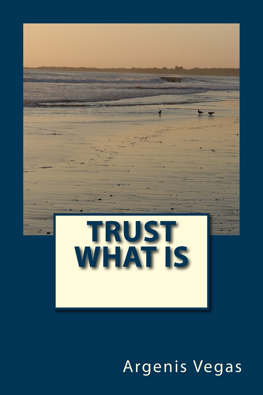 Trust What Is,Used