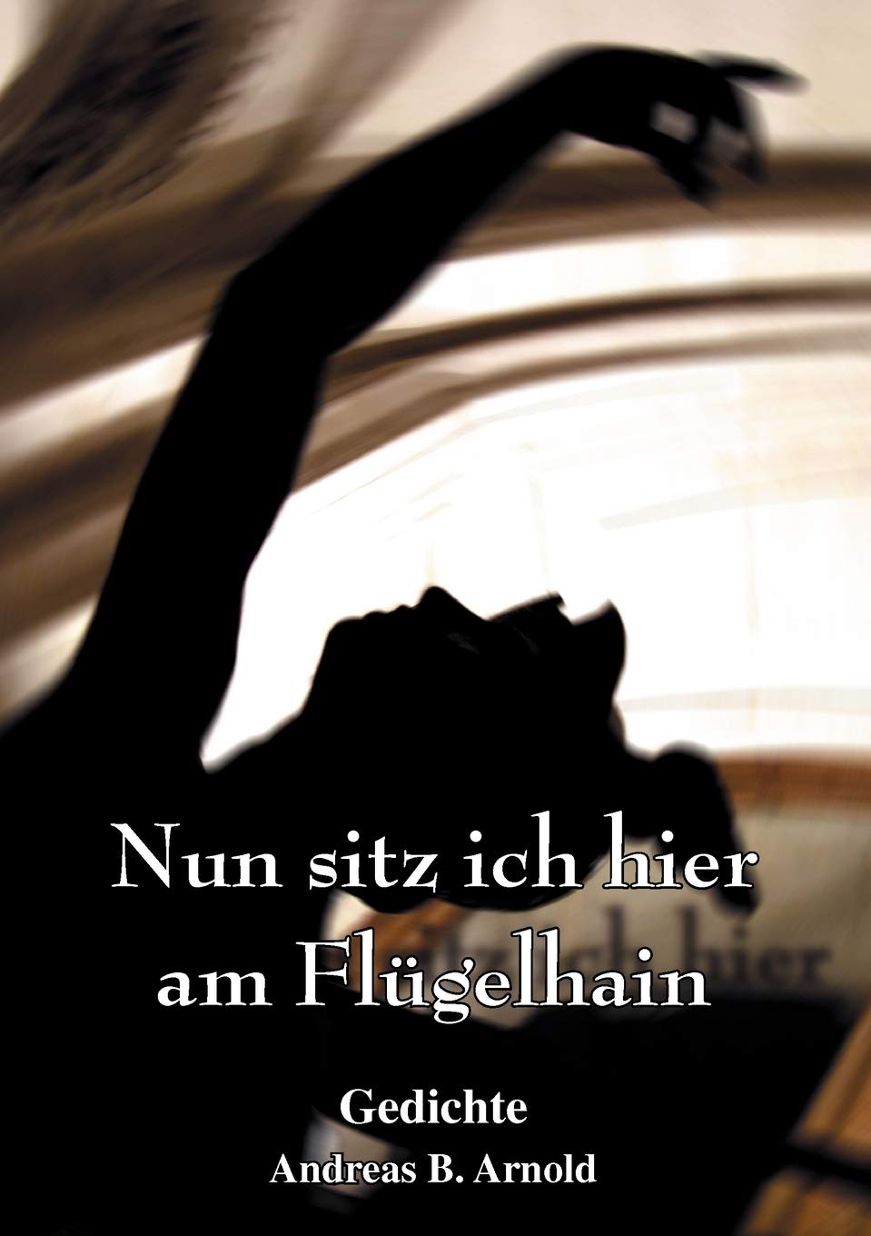 Nun sitz ich hier am Flgelhain: Gedichte (German Edition),Used