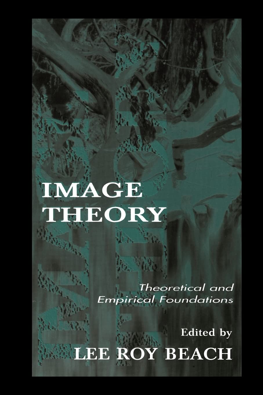 Image Theory: Theoretical And Empirical Foundations (Organization And Management Series),Used