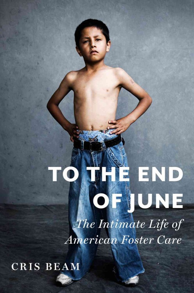 To the End of June: The Intimate Life of American Foster Care (ALA Notable Books for Adults),Used