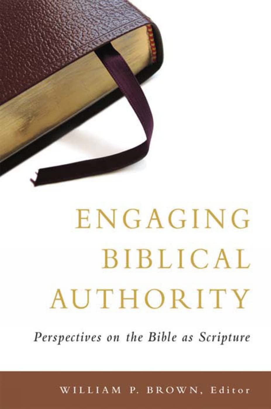 Engaging Biblical Authority: Perspectives on the Bible as Scripture,Used