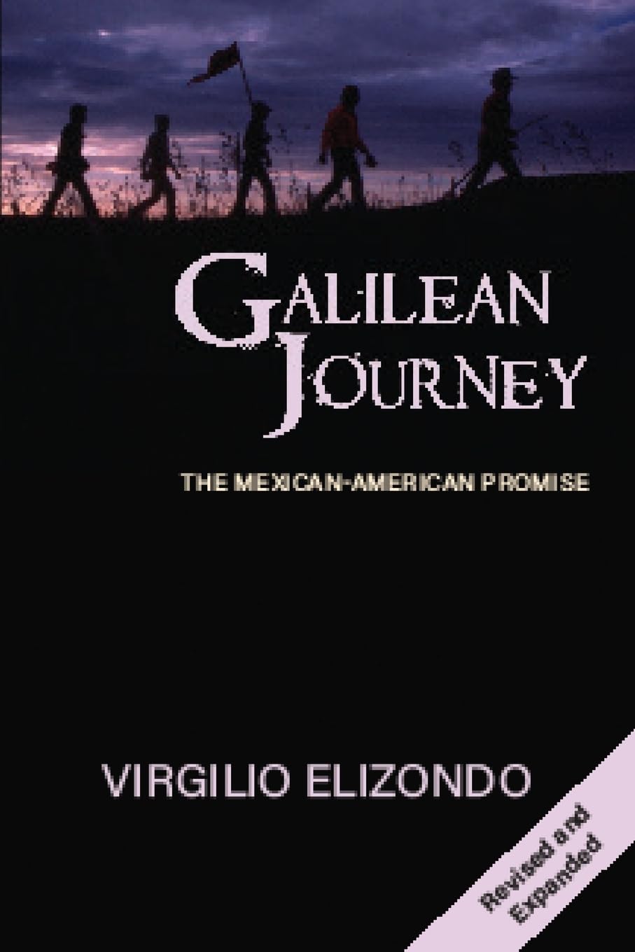 Galilean Journey: The MexicanAmerican Promise,New