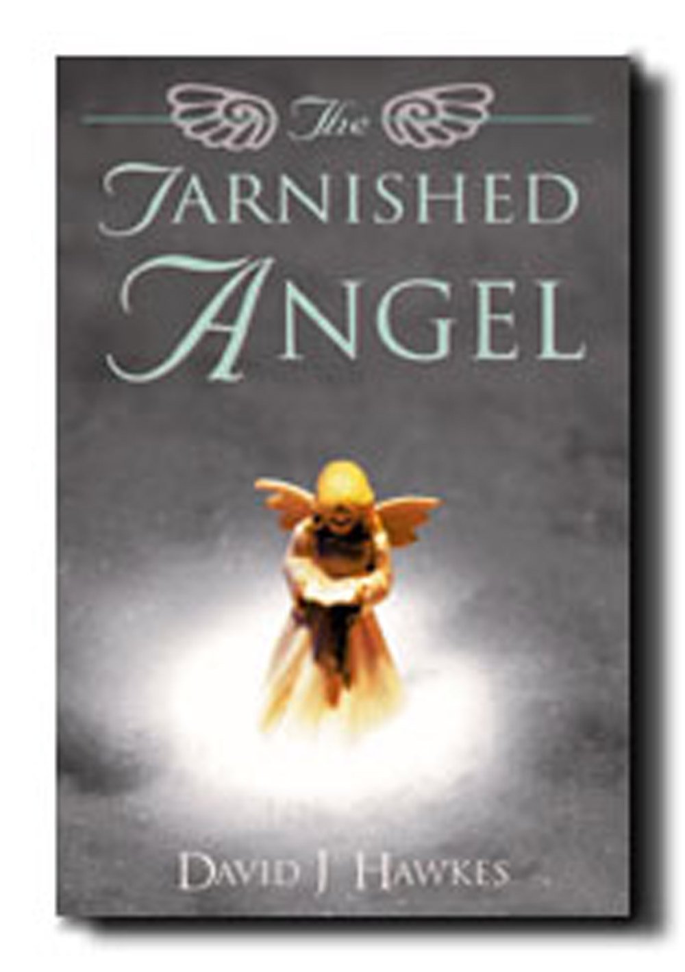 Tarnished Angel,Used