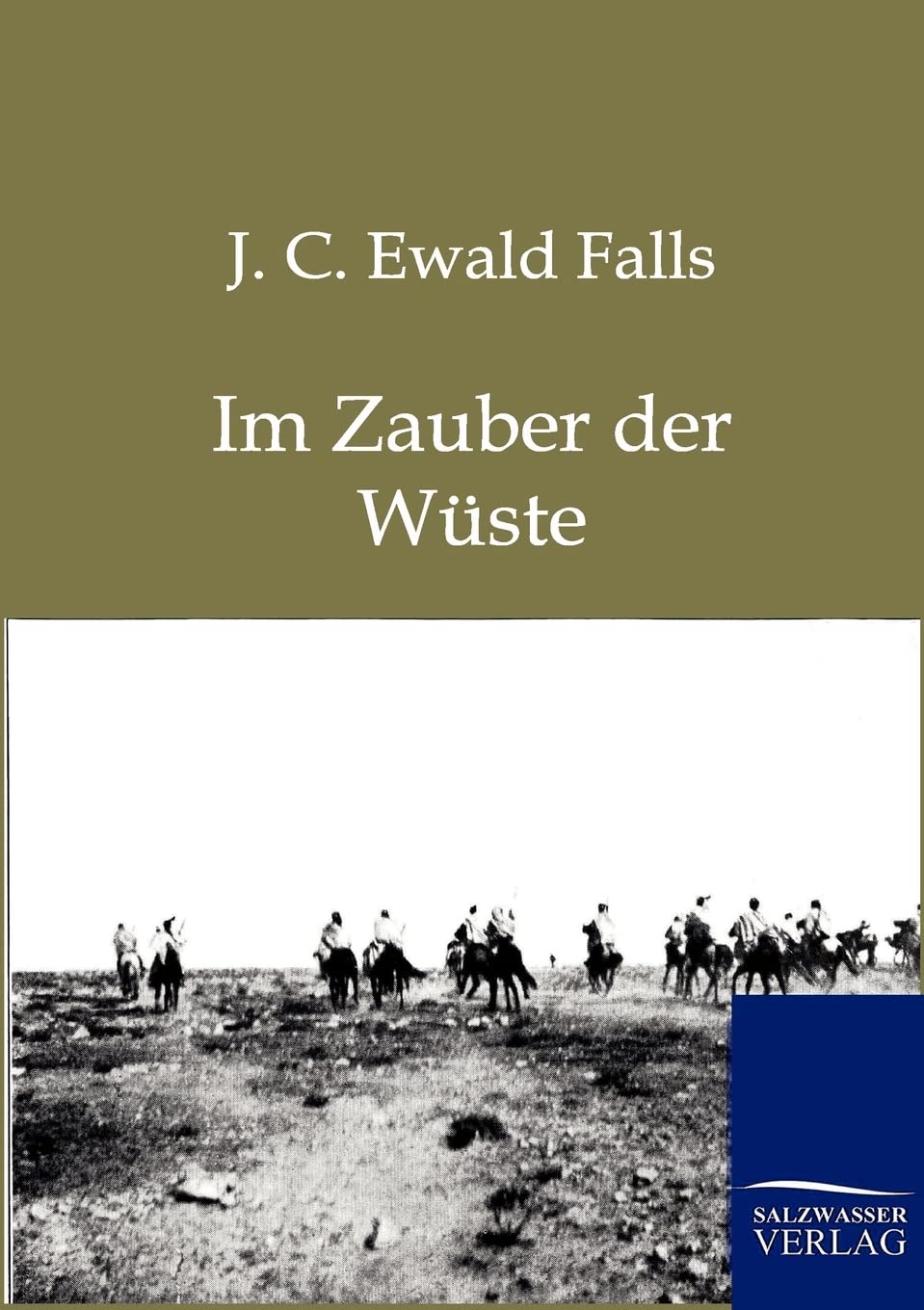 Im Zauber der Wste (German Edition),Used
