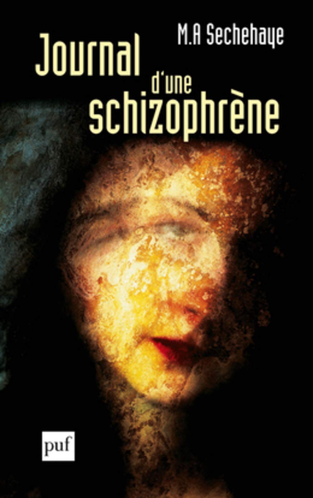 Journal d'une schizophrne: Autoobservation d'une schizophrne pendant le traitement psychothrapique,Used