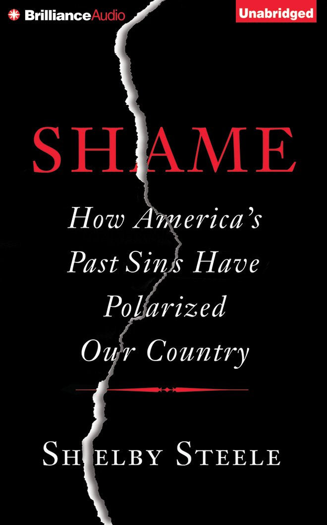 Shame: How America's Past Sins Have Polarized Our Country,Used