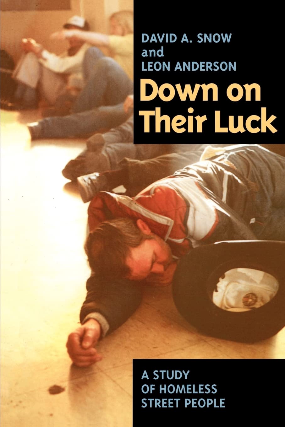 Down On Their Luck: A Study Of Homeless Street People (Poetics; 24),New