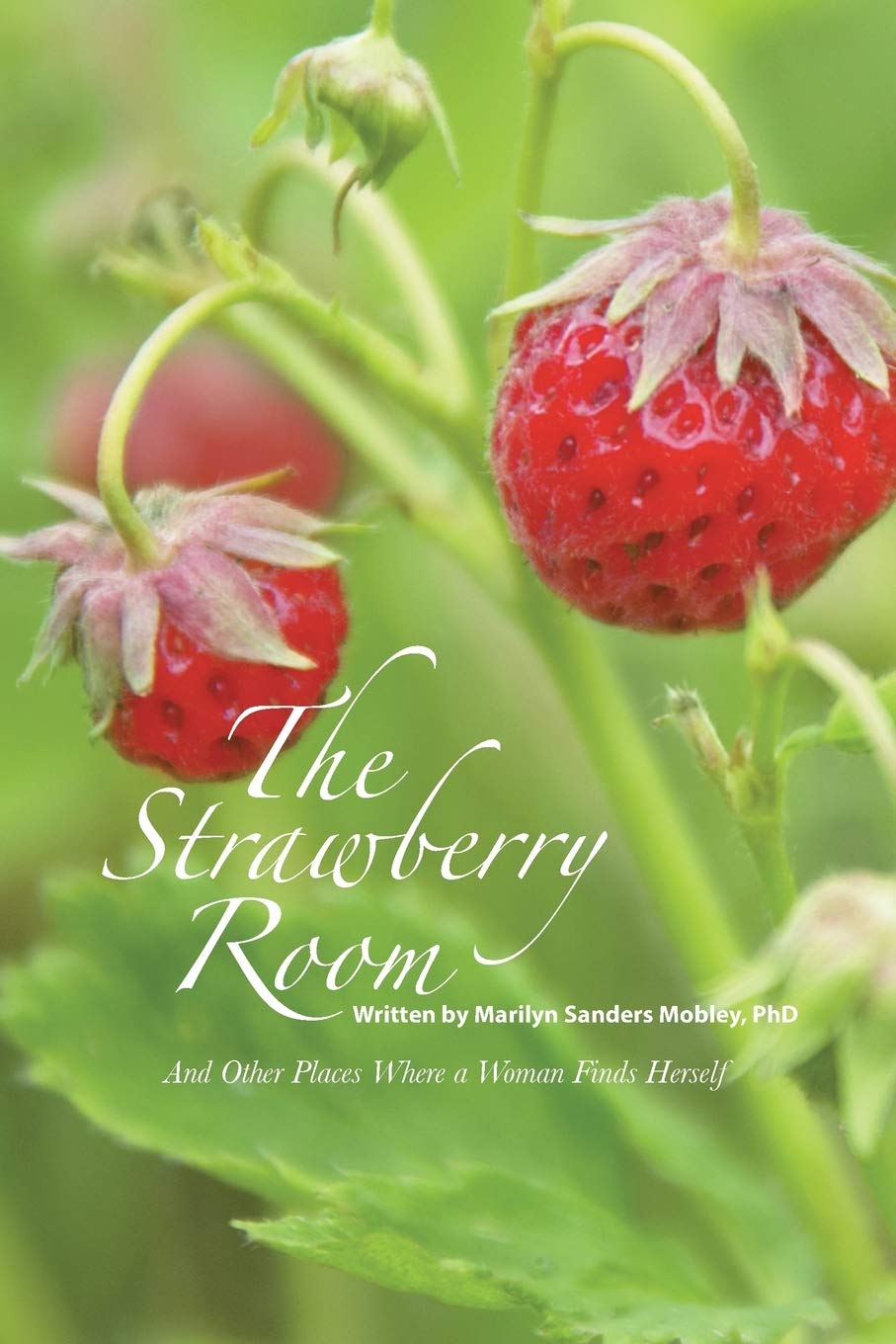The Strawberry Room,Used