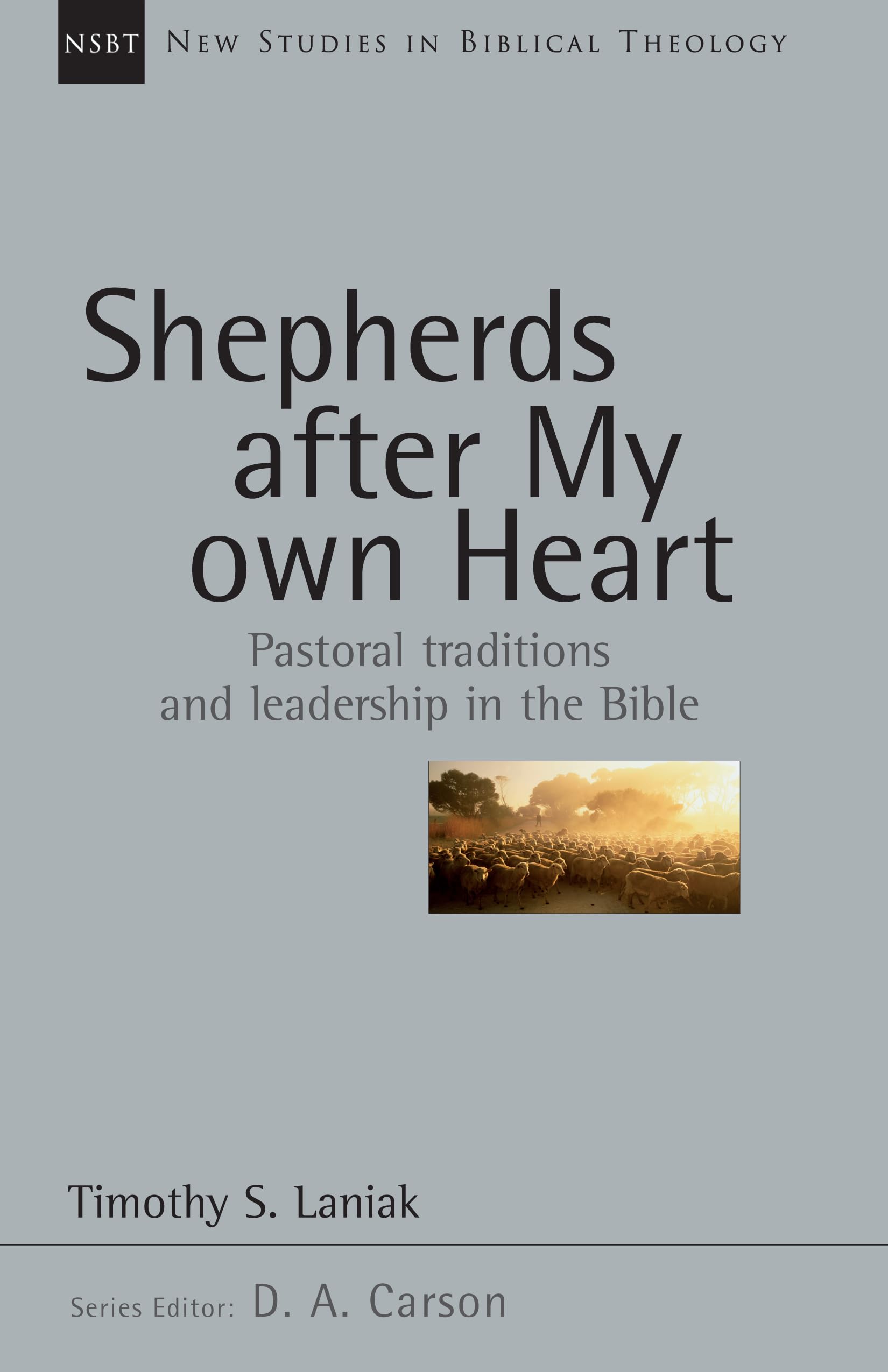 Shepherds After My Own Heart: Pastoral Traditions and Leadership in the Bible (Volume 20) (New Studies in Biblical Theology),New