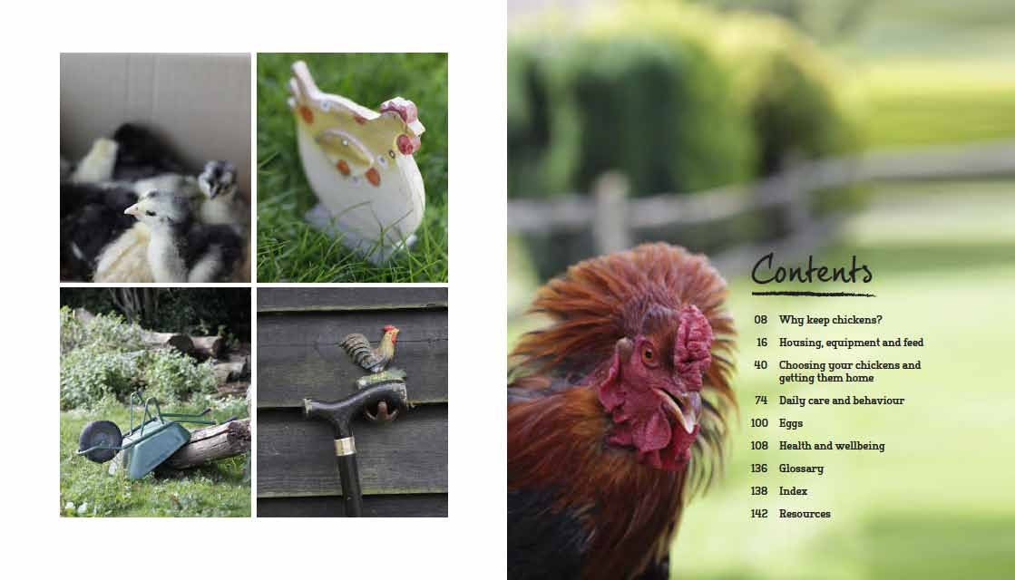 Chickens: The Essential Guide to Choosing and Keeping Happy, Healthy Hens,Used