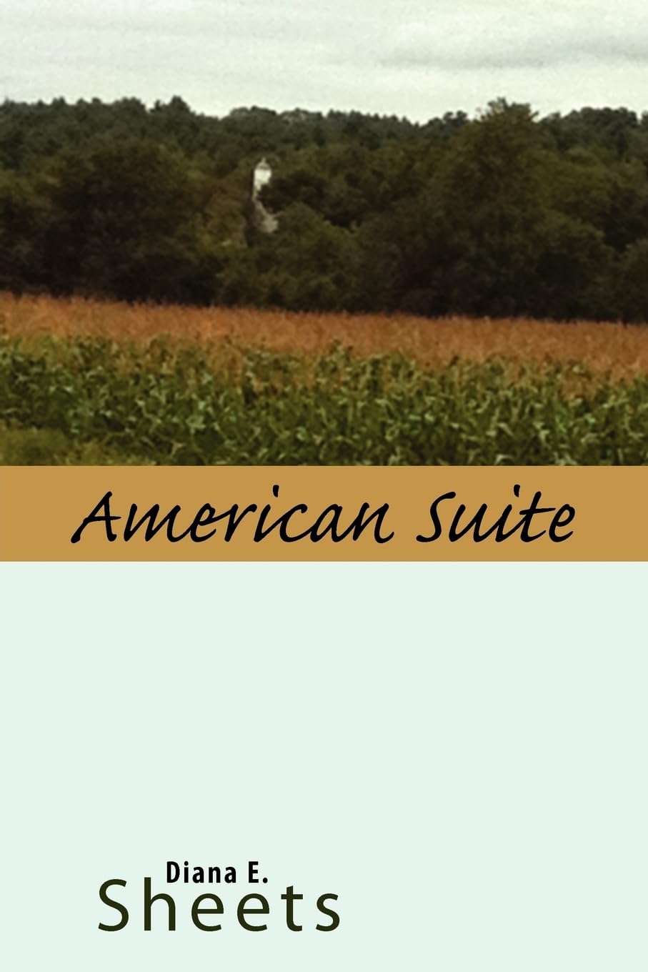 American Suite,Used