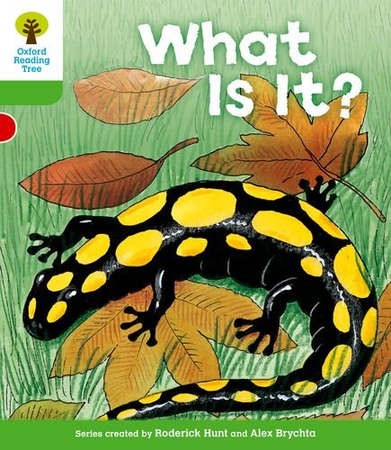 Oxford Reading Tree: Level 2: More Patterned Stories A: What Is It?,Used