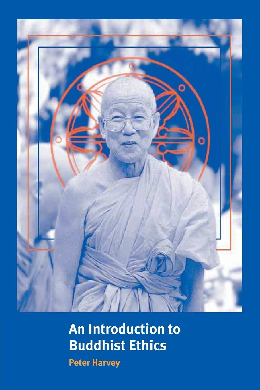 An Introduction to Buddhist Ethics: Foundations, Values and Issues (Introduction to Religion),Used