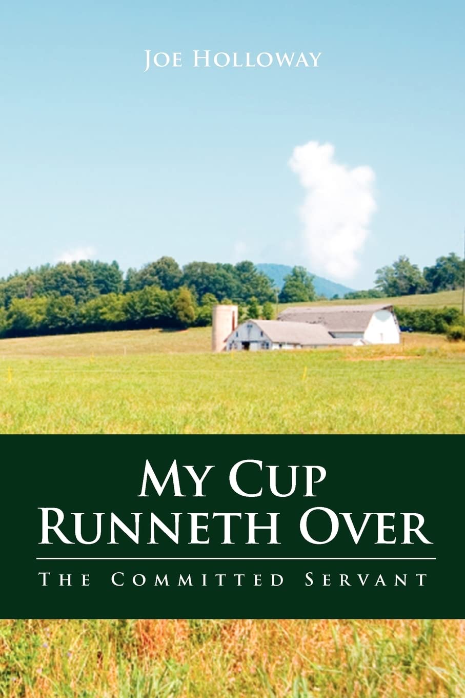 My Cup Runneth Over: The Committed Servant,Used