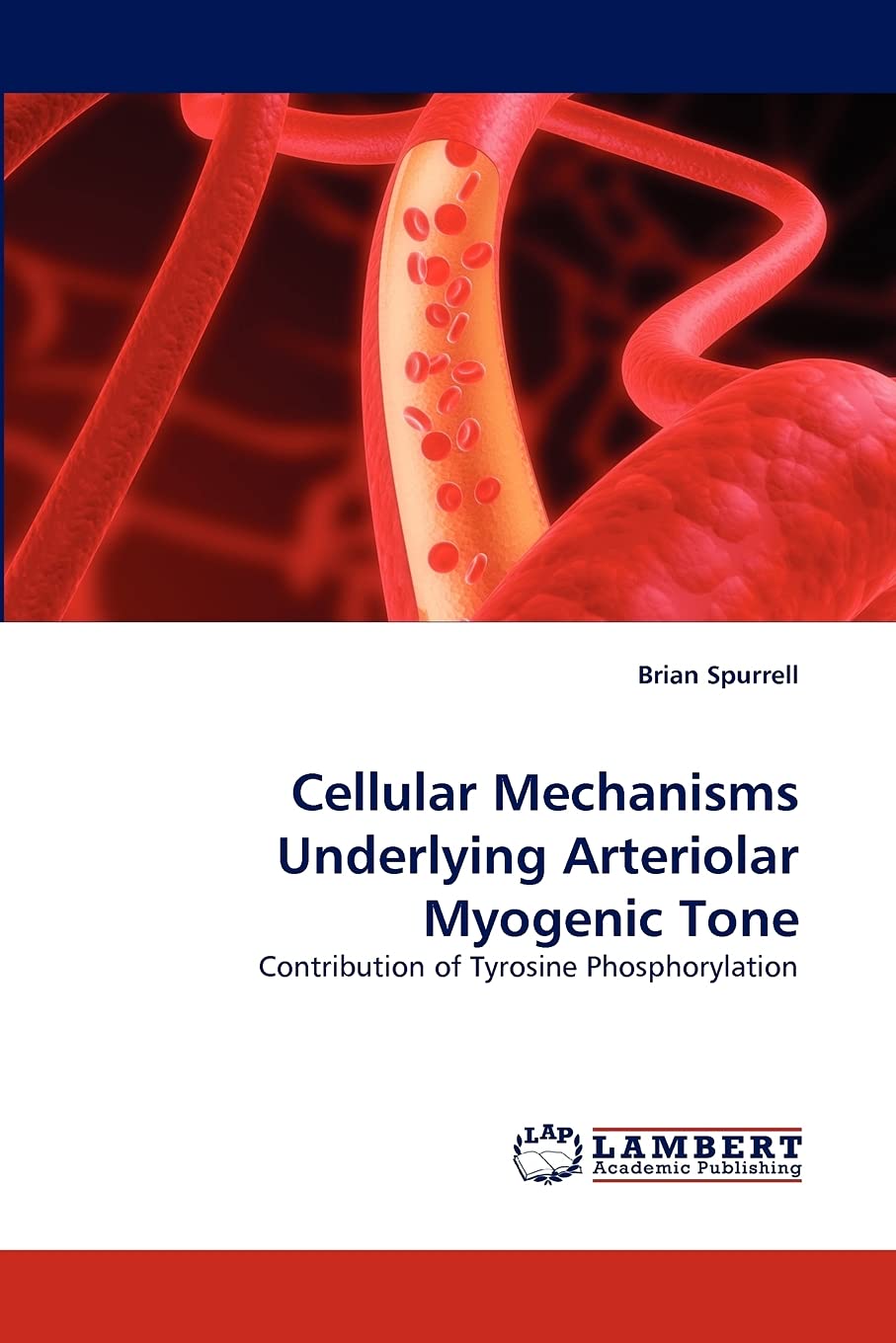 Cellular Mechanisms Underlying Arteriolar Myogenic Tone: Contribution of Tyrosine Phosphorylation,Used