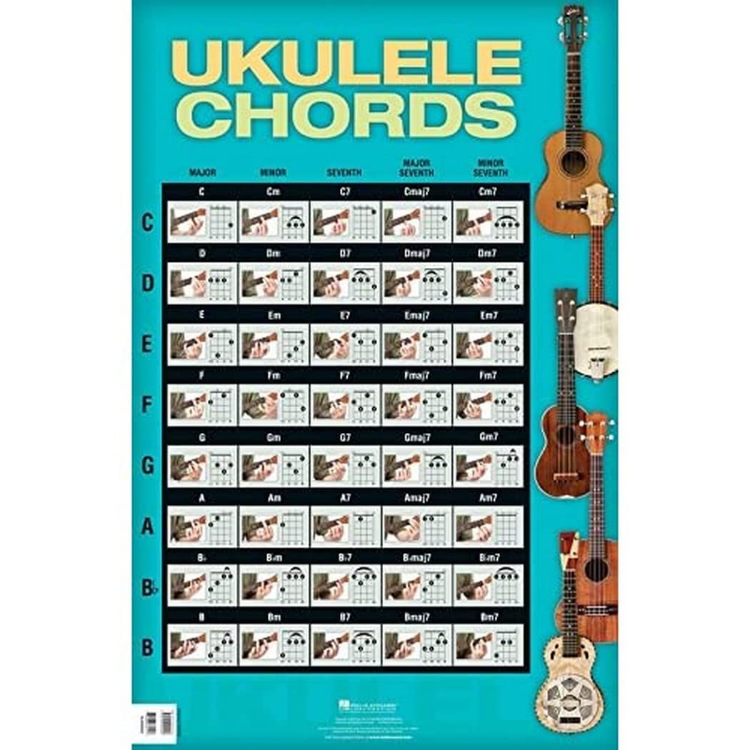 Ukulele Chords Poster 22 X34,Used