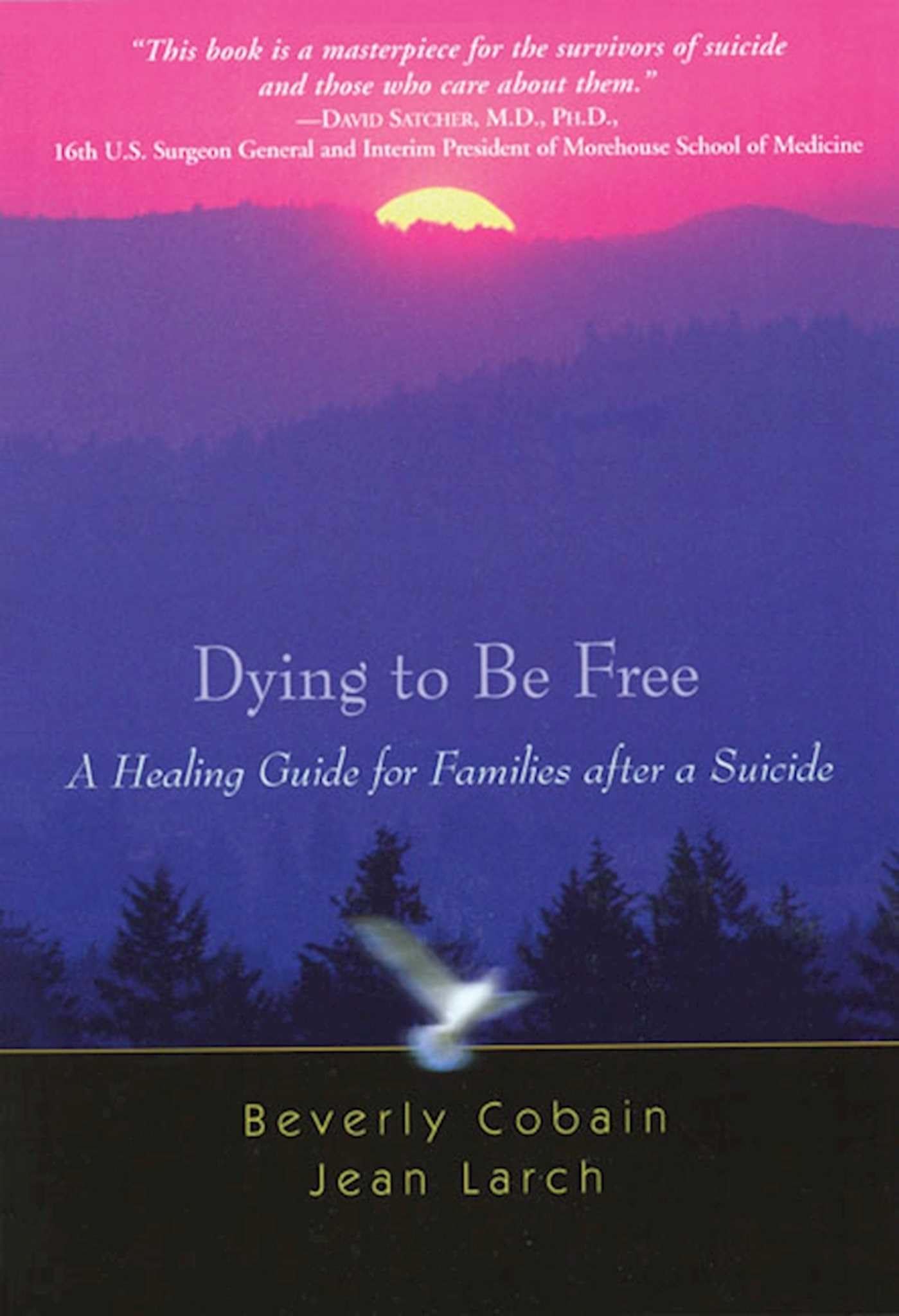 Dying to Be Free: A Healing Guide for Families After a Suicide,Used