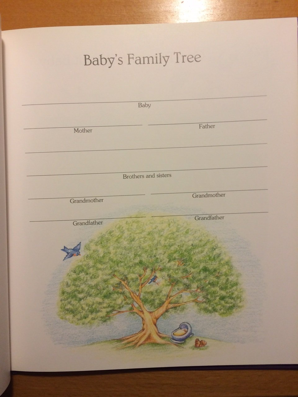 Baby Days & Lullabye Nights,Used