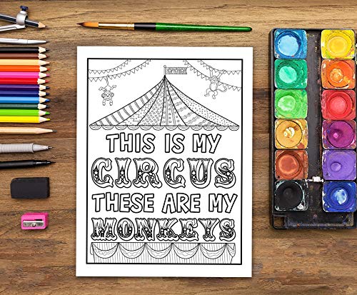 Mom Life: A Snarky Adult Coloring Book,Used