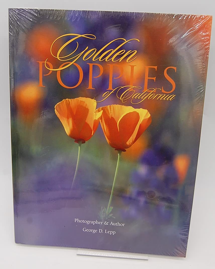 Golden Poppies Of California: Incelebration Of Our State Flower