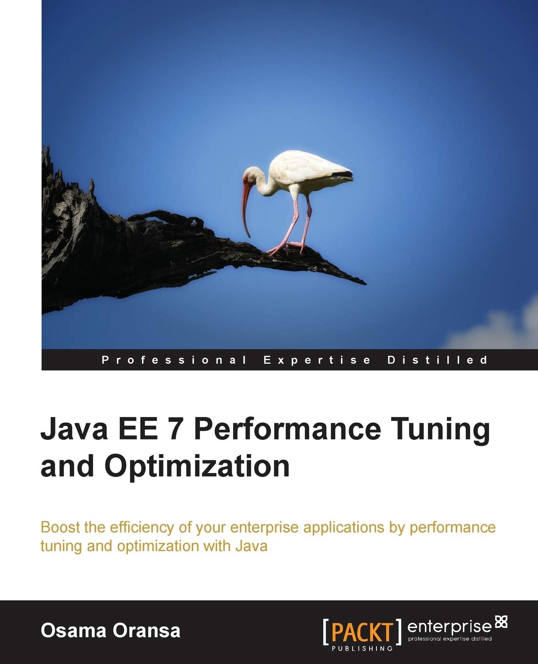 Java Ee 7 Performance Tuning and Optimization,Used
