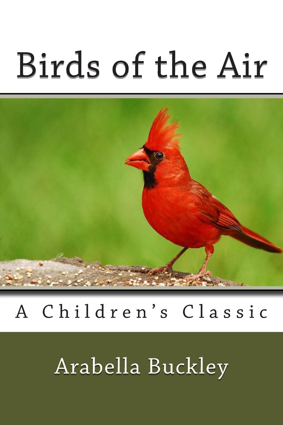 Birds Of The Air