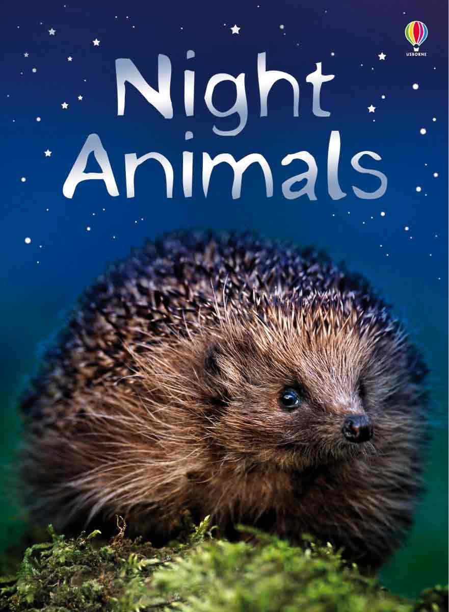 Night Animals (Beginners Nature),Used