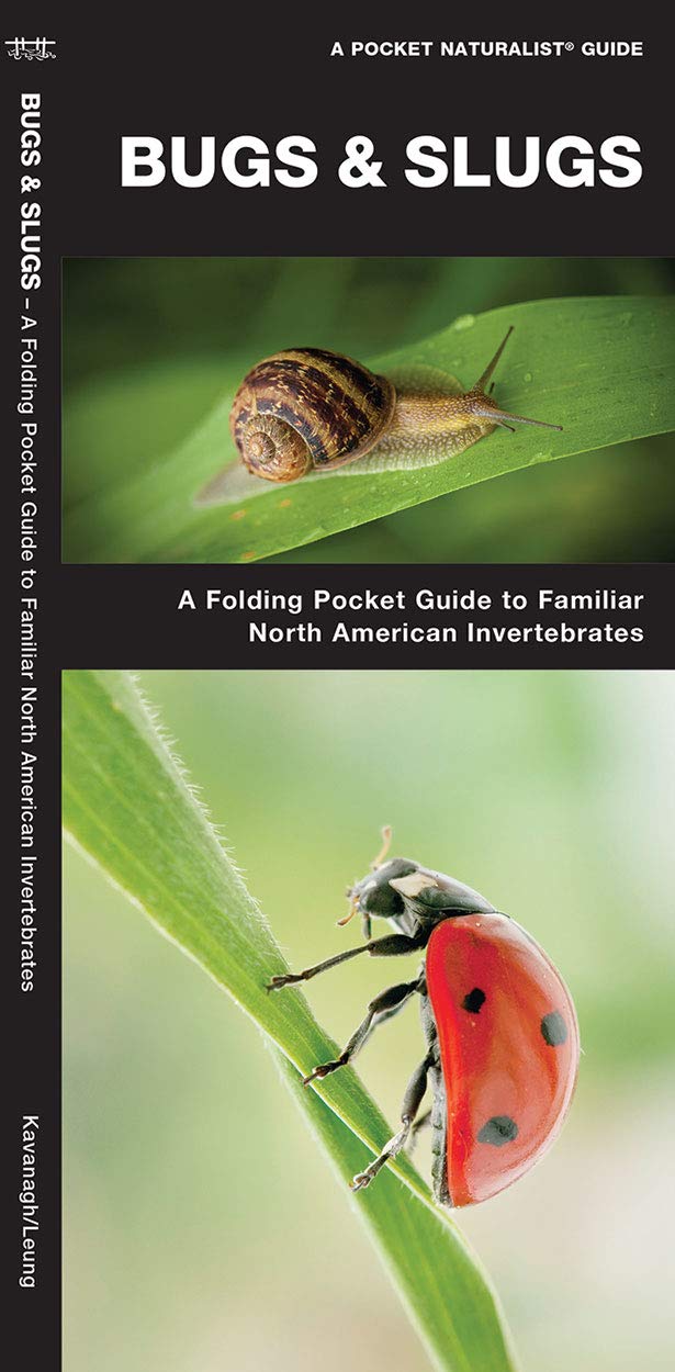 Bugs & Slugs: A Folding Pocket Guide to Familiar North American Invertebrates (A Pocket Naturalist Guide),Used