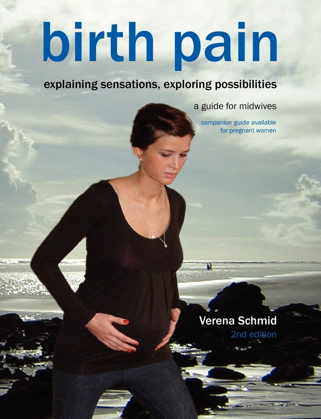 Birth Pain: Explaining Sensations, Exploring Possibilities (2Nd Ed),Used