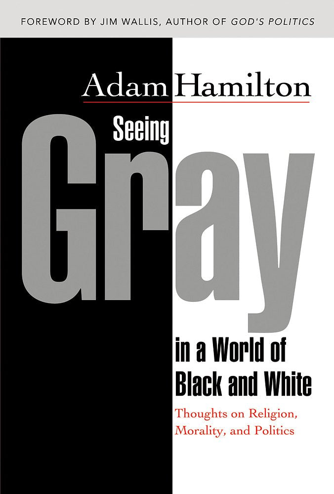 Seeing Gray in a World of Black and White: Thoughts on Religion, Morality, and Politics,Used