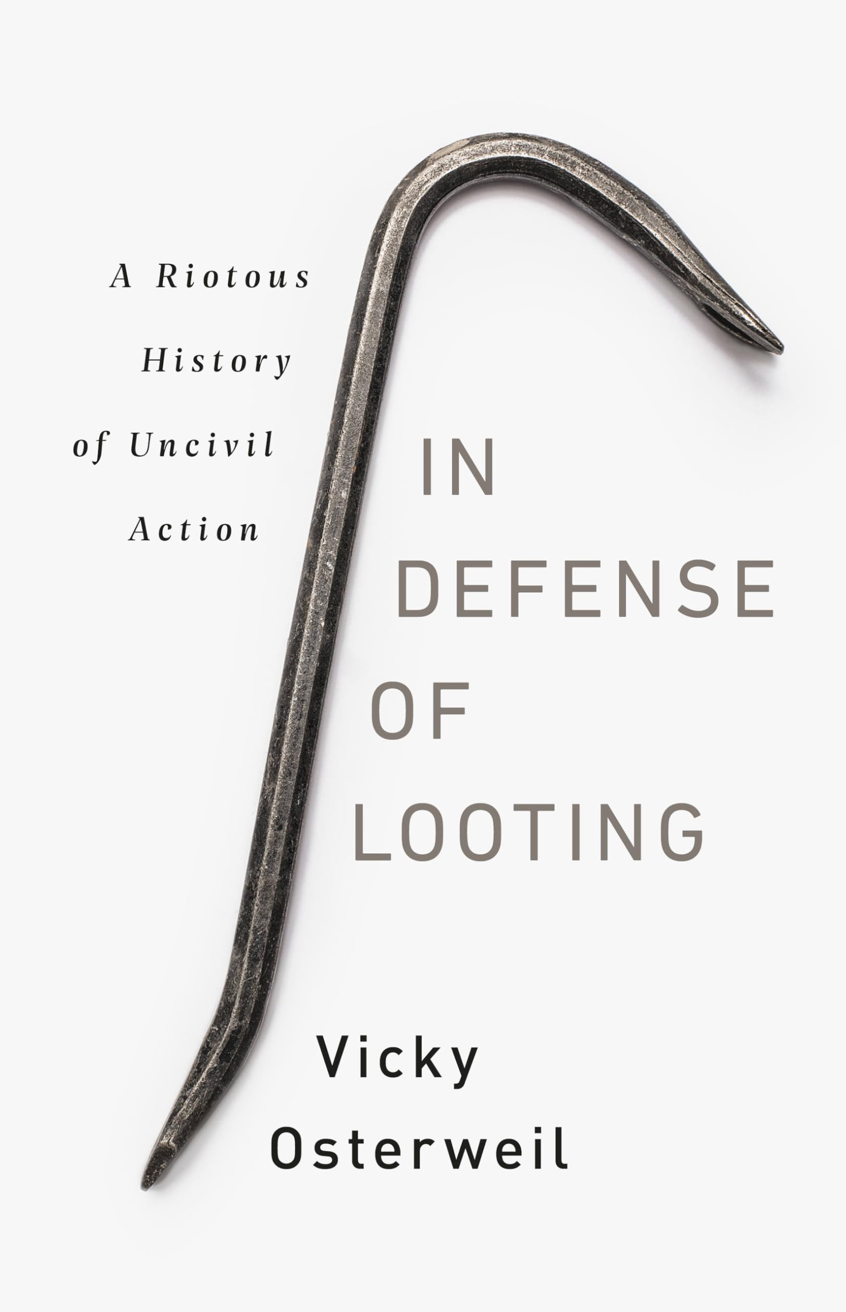 In Defense of Looting: A Riotous History of Uncivil Action,Used