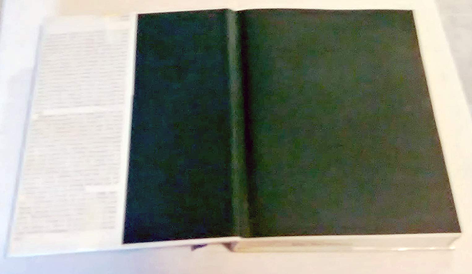 A Life of Picasso, Volume II: 19071917 The Painter of Modern Life,New