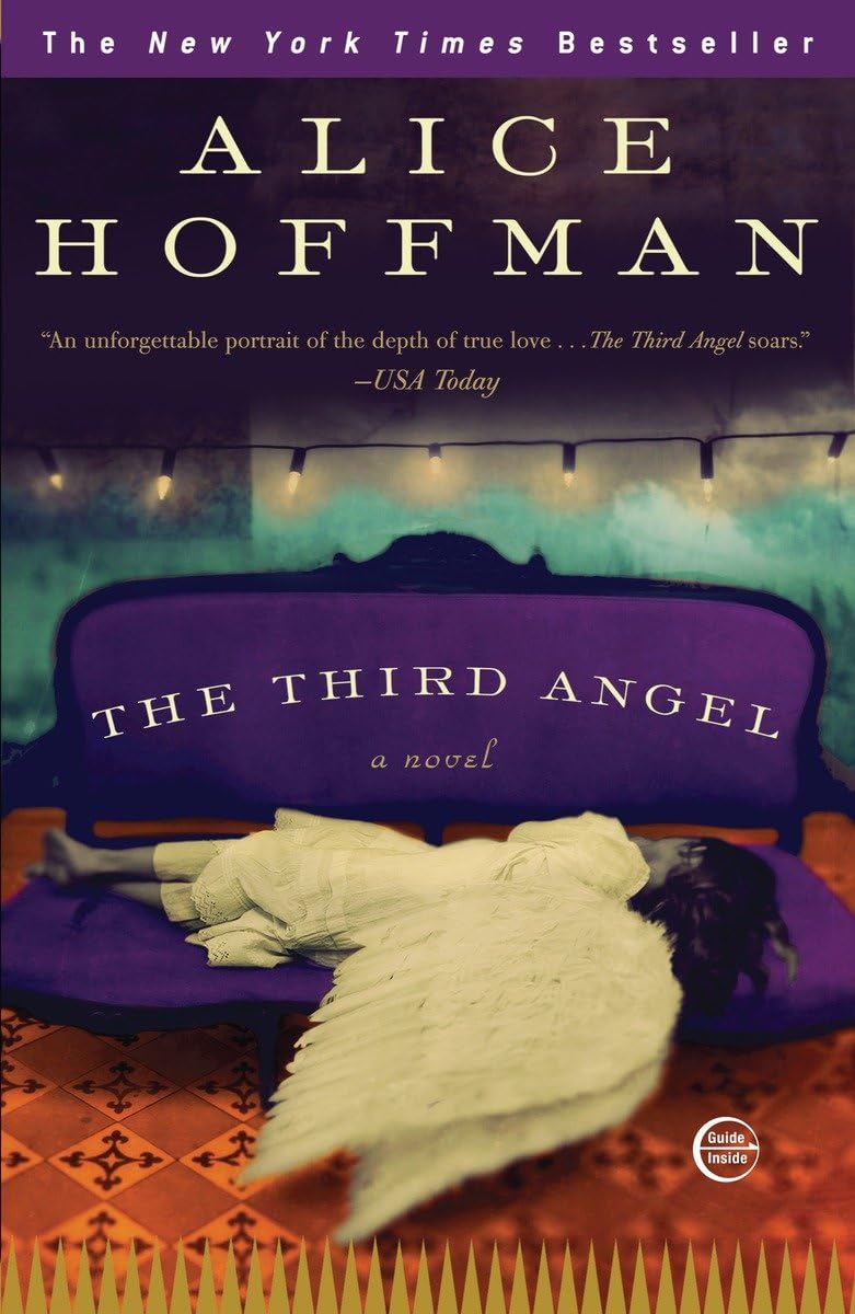 The Third Angel: A Novel,Used
