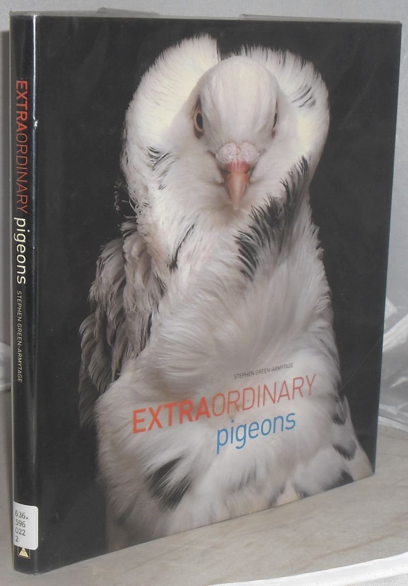Extraordinary Pigeons