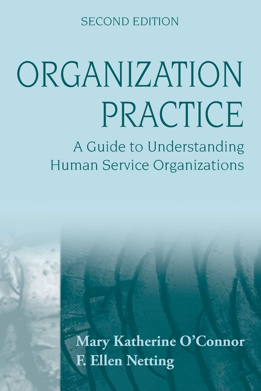 Organization Practice: A Guide to Understanding Human Service Organizations,Used