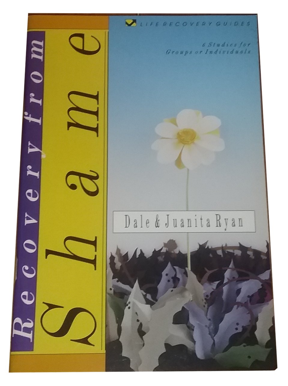 Recovery from Shame: 6 Studies for Groups or Individuals (Life Recovery Guides),Used
