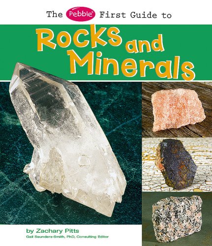 The Pebble First Guide to Rocks and Minerals (Pebble First Guides),Used